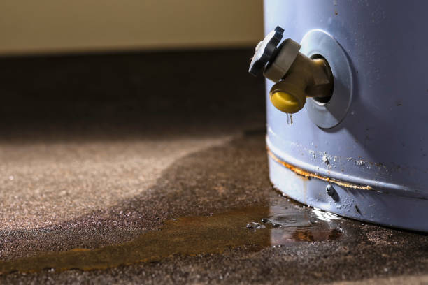 Avenal, CA Water damage restoration Company