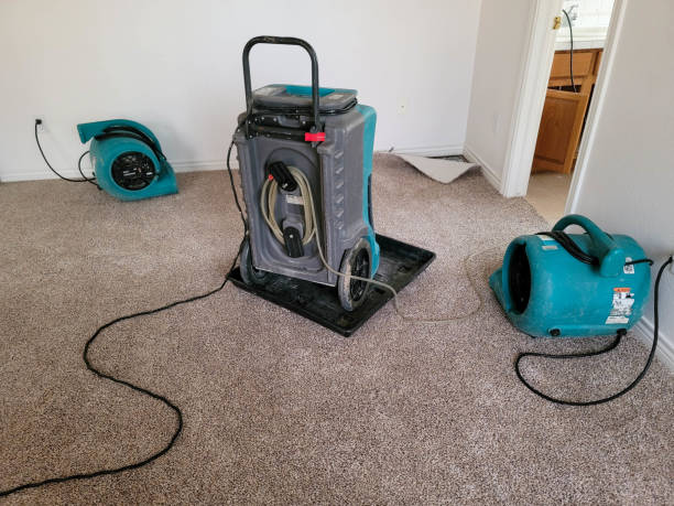 Best 24/7 water damage repair  in Avenal, CA