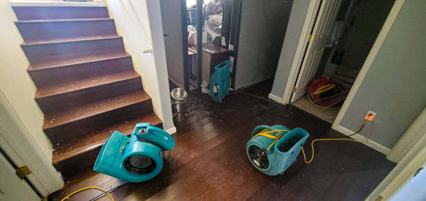 Best Water damage restoration services  in Avenal, CA