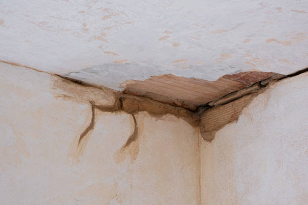 Best Carpet water damage restoration  in Avenal, CA