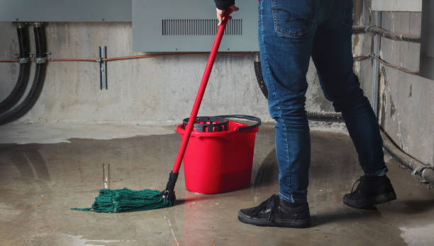 Best 24-hour water damage restoration  in Avenal, CA