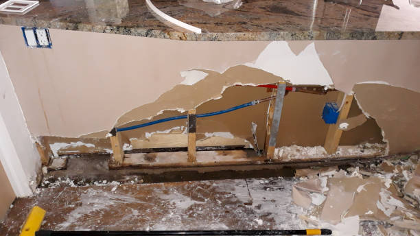 Best Mold removal after water damage  in Avenal, CA