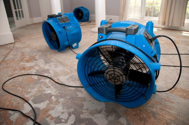 Best 24/7 water damage repair  in Avenal, CA