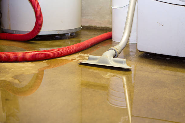 Best Sewage cleanup and water damage restoration  in Avenal, CA