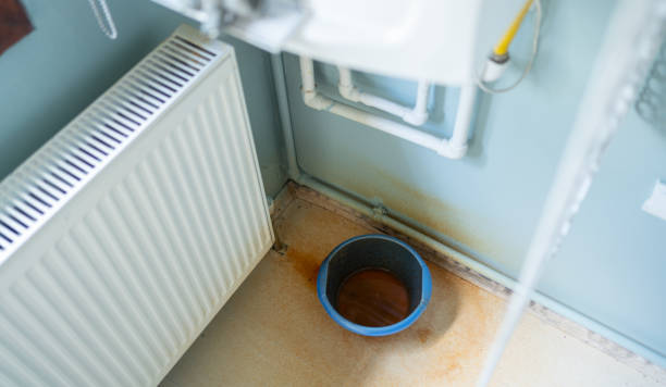 Best Flood damage cleanup  in Avenal, CA