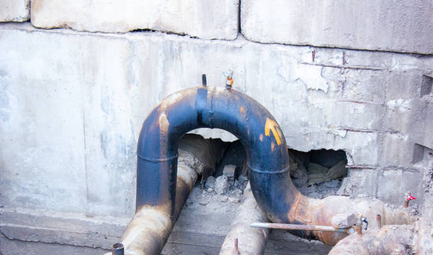 Best Local water damage restoration  in Avenal, CA