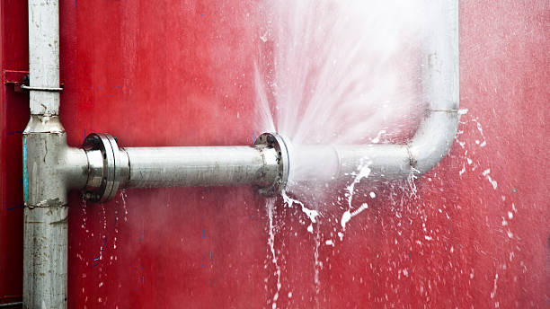 Best Local water damage restoration  in Avenal, CA